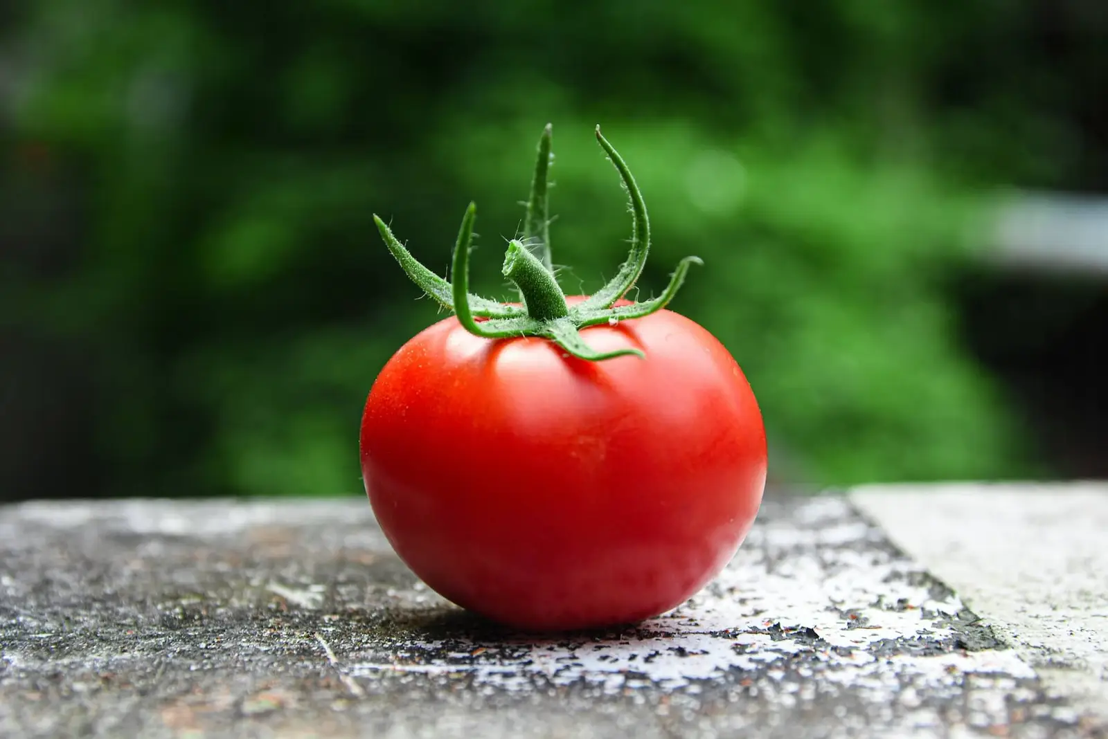 A red tomato on a gray concrete surface